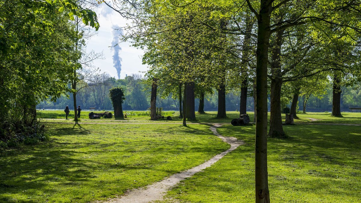 Stadtpark auf der Parkinsel