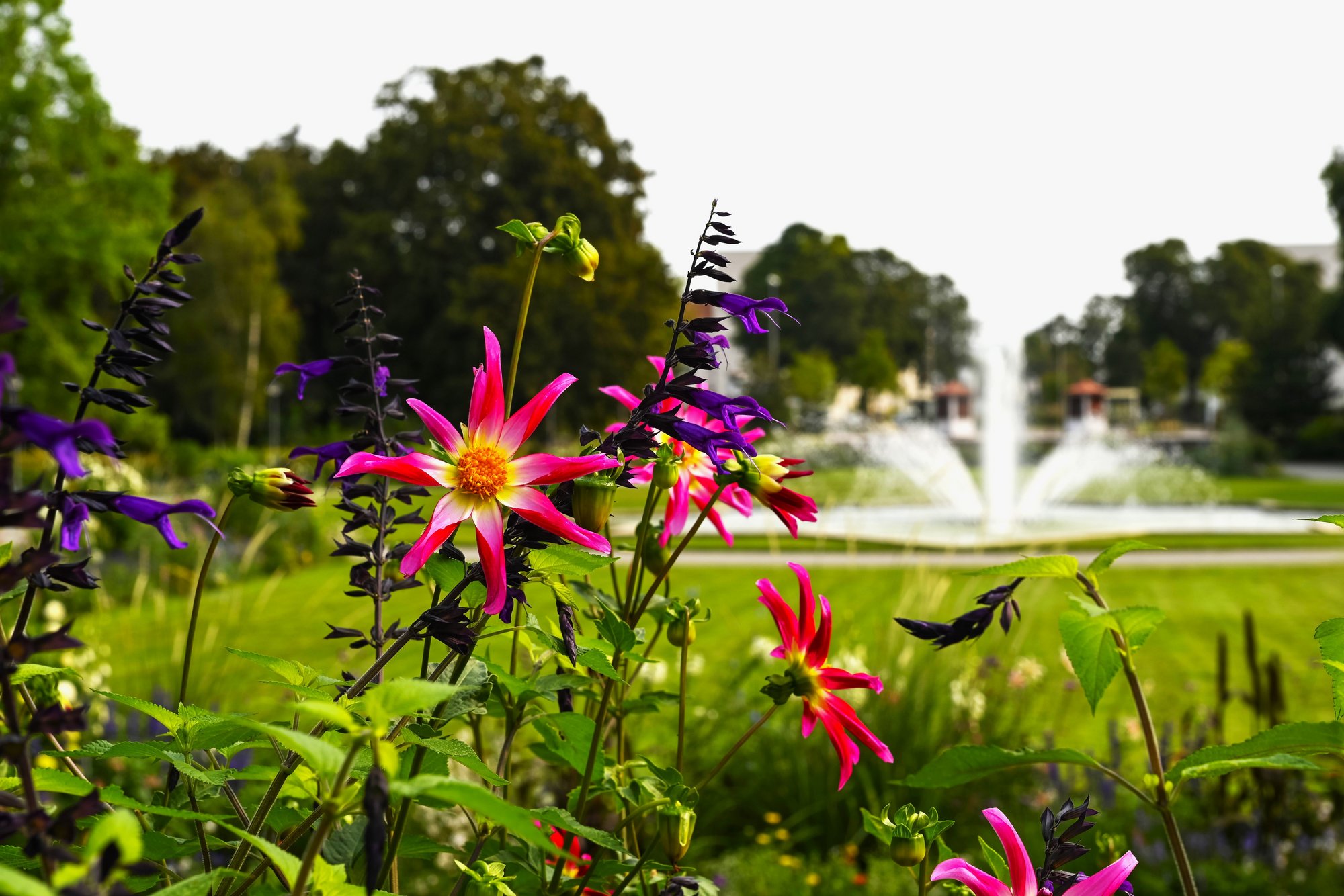 Ebertpark