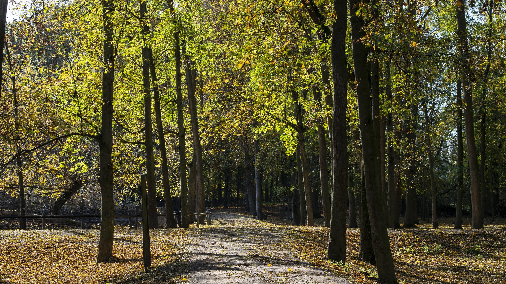 Wildpark 1